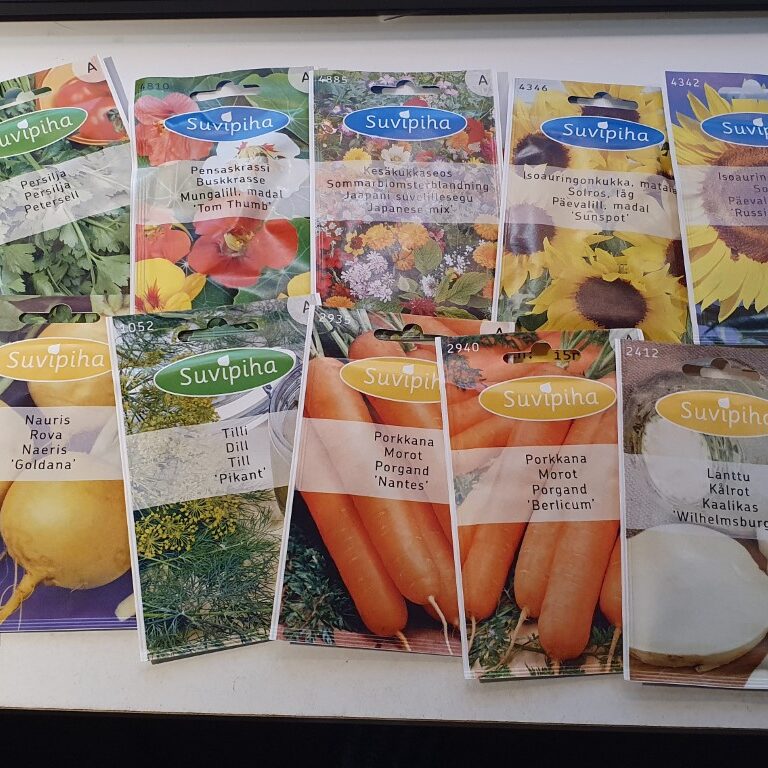 2021-04-08 19.31.35 (Medium)